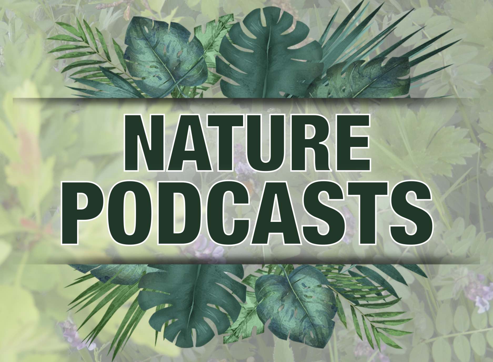 Nature Podcasts